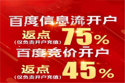 百度推广收费标准与广告创意的完美结合：一则成功案例